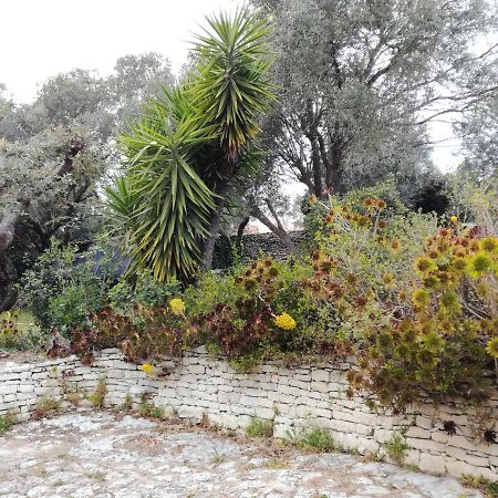 بونيفَسْيو Bonifacio, Maison 90M² Sous Les Oliviers, Vue Sardaigne المظهر الخارجي الصورة