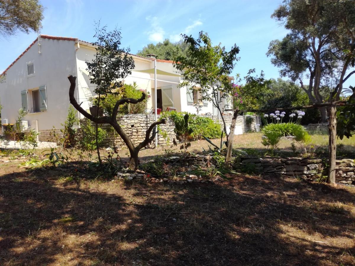 بونيفَسْيو Bonifacio, Maison 90M² Sous Les Oliviers, Vue Sardaigne المظهر الخارجي الصورة